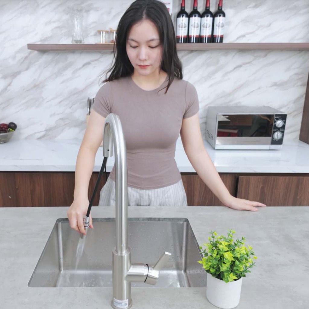 Chậu rửa bát Paul Schmitt PA5545-U