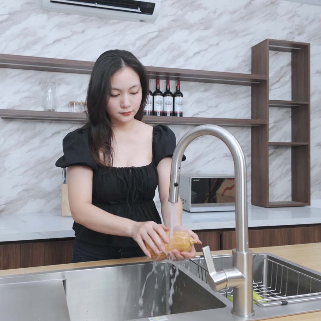 Chậu rửa bát Paul Schmitt PA11648-T (Bàn phải) PA11648-TR (Bàn trái)