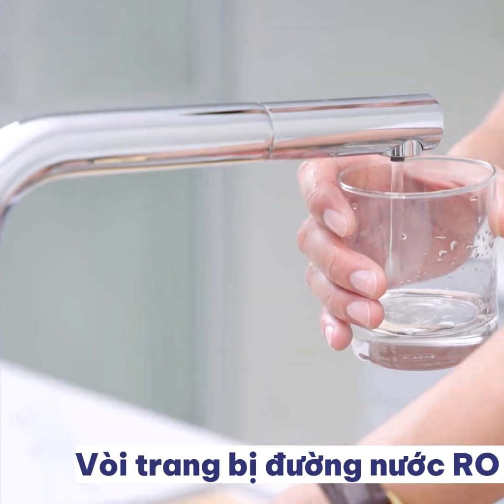 Vòi rửa bát Paul Schmitt PA328K