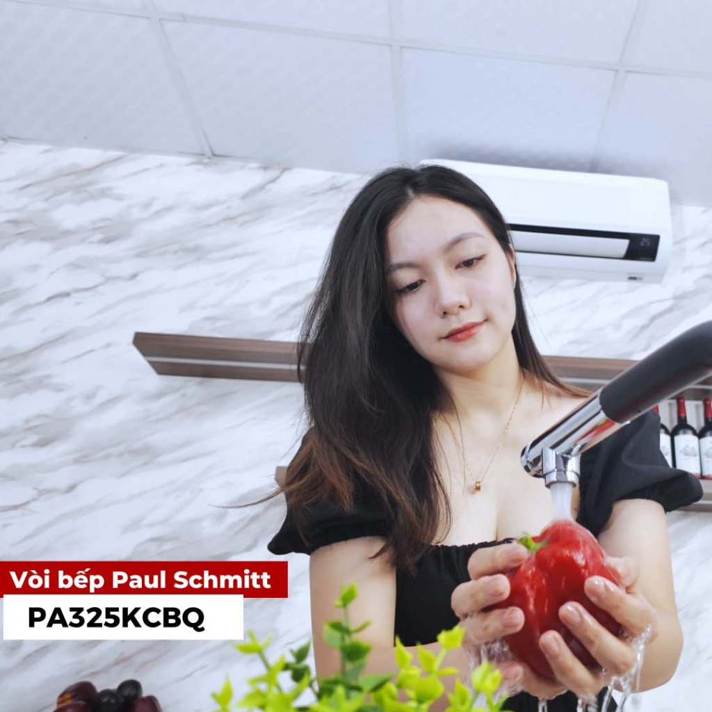 Vòi rửa bát Paul Schmitt PA325KCBQ