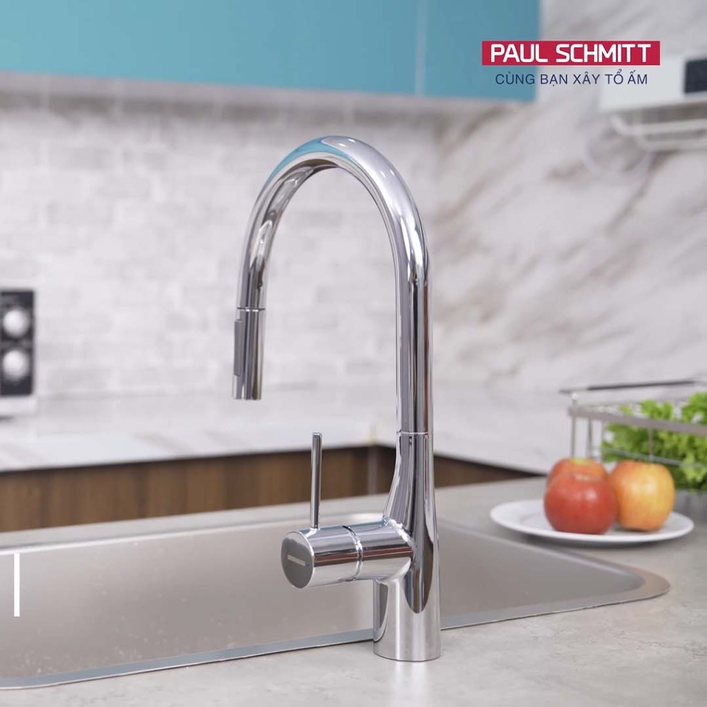 Vòi rửa bát Paul Schmitt PA335K