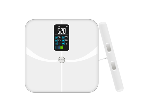 Cân sức khỏe thông minh Rapido RSB-06WS