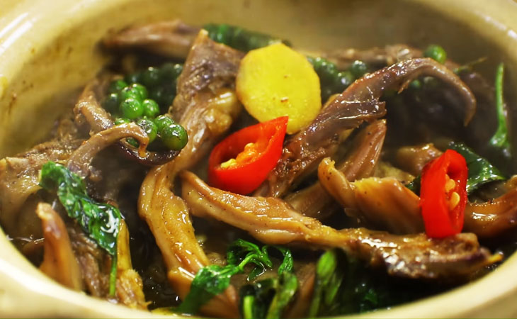 Lưỡi vịt sapo