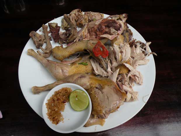 chim trĩ hấp hành