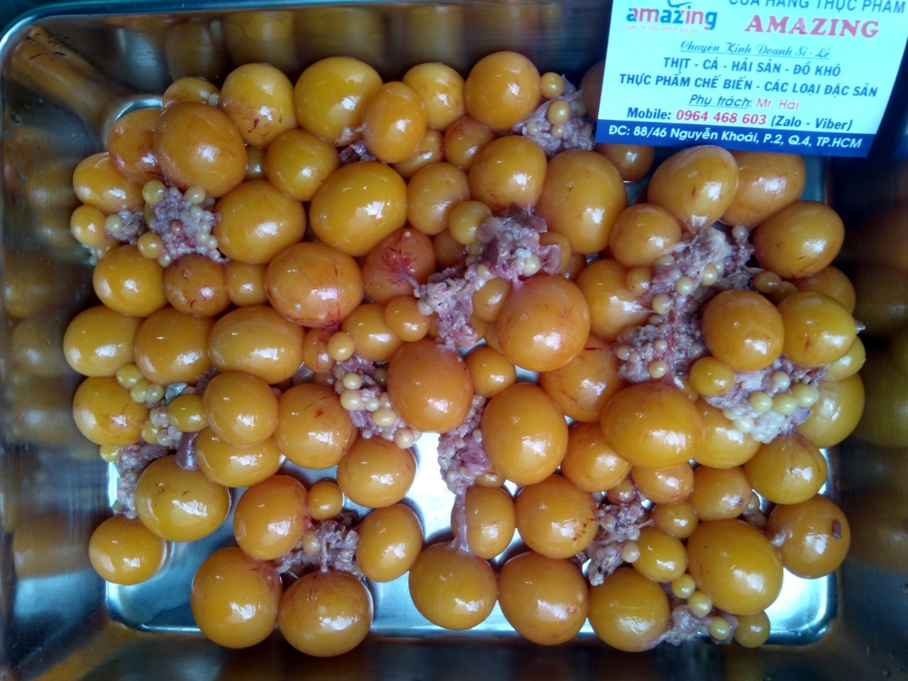 cung cấp sỉ lẻ trứng gà non ở TPHCM, Q4