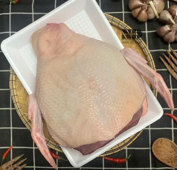 ức vịt ngắn có cánh