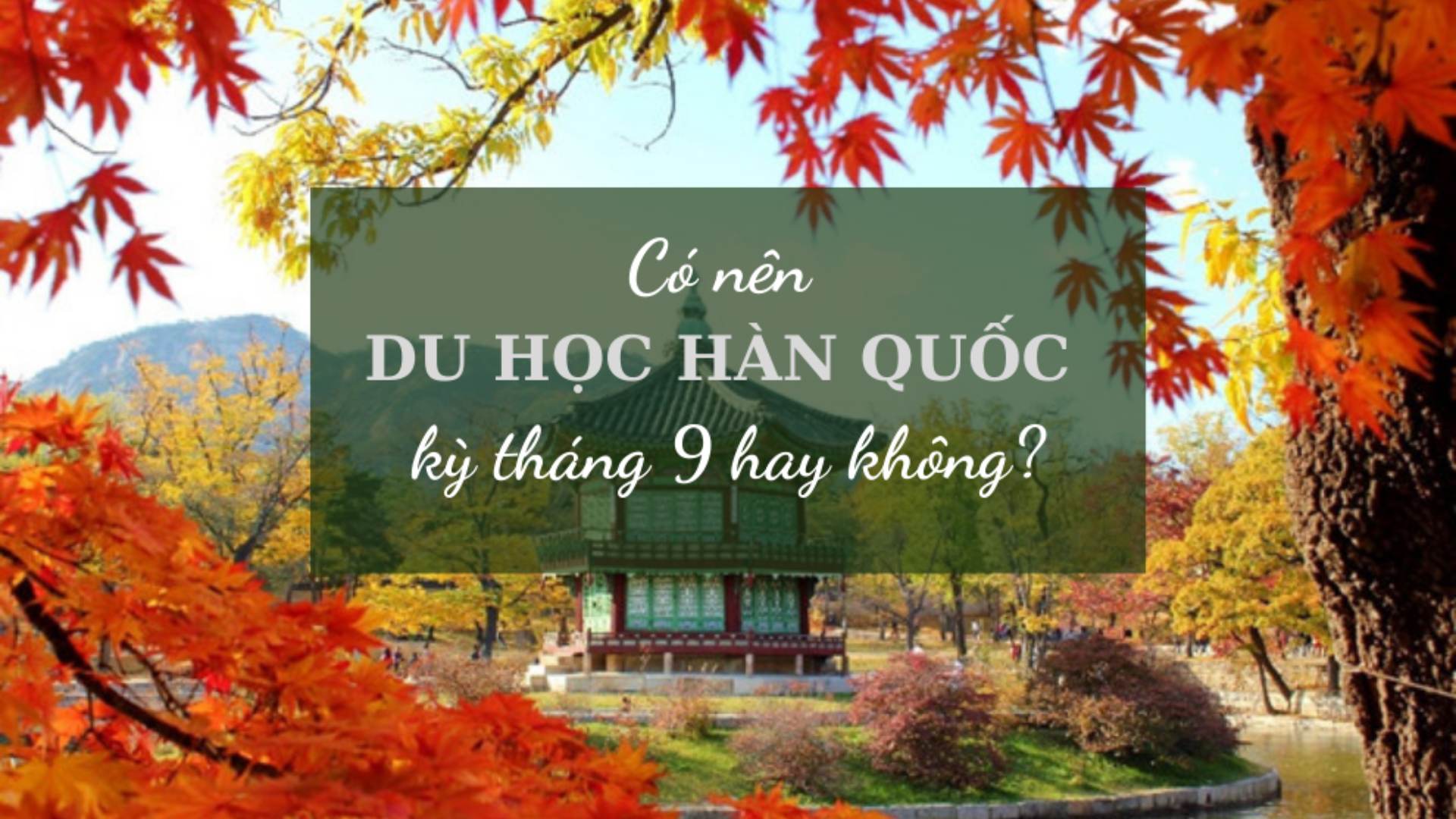 CÓ NÊN ĐI DU HỌC HÀN QUỐC KỲ THÁNG 9 HAY KHÔNG??