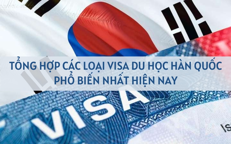 CÁC LOẠI VISA DU HỌC HÀN QUỐC: VISA D2, VISA D4 VÀ VISA D10