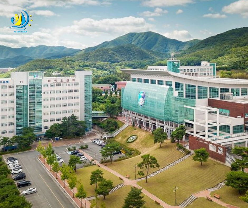 Trường Đại học Daegu Haany Hàn Quốc – TOP2%