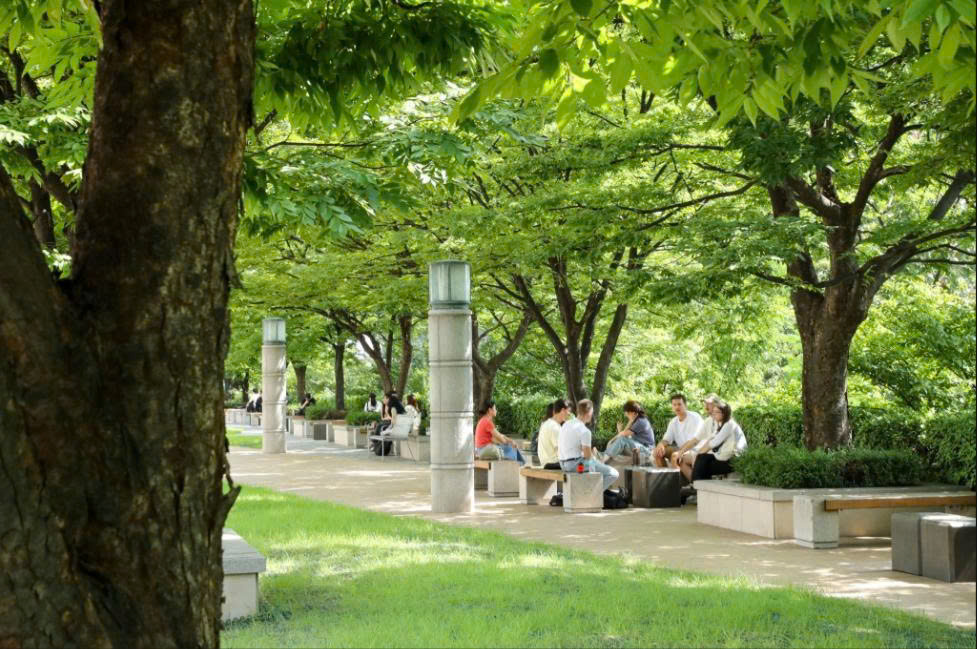 Du học sinh ở Hàn Quốc thất vọng