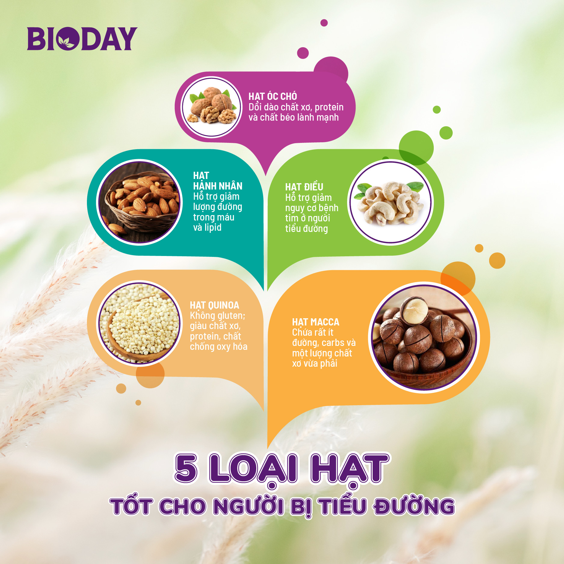 5 loại hạt tốt dành cho người bị tiểu đường