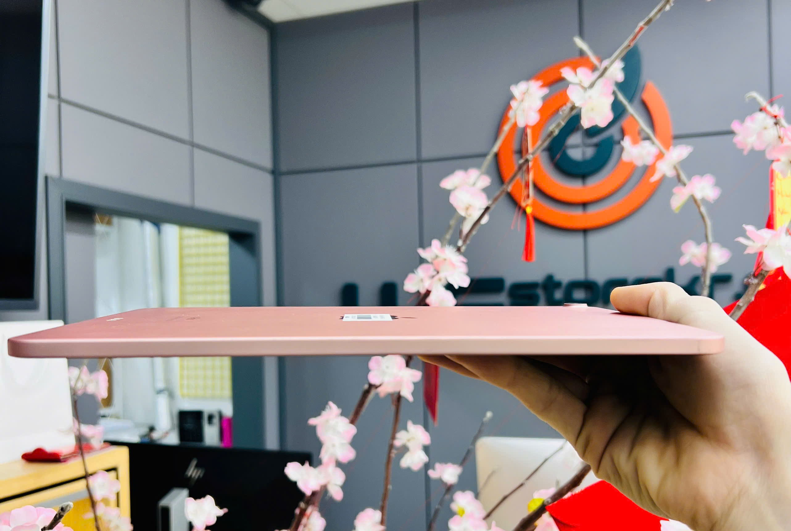 iPad Air 4th 64GB Rose Gold 283/83%