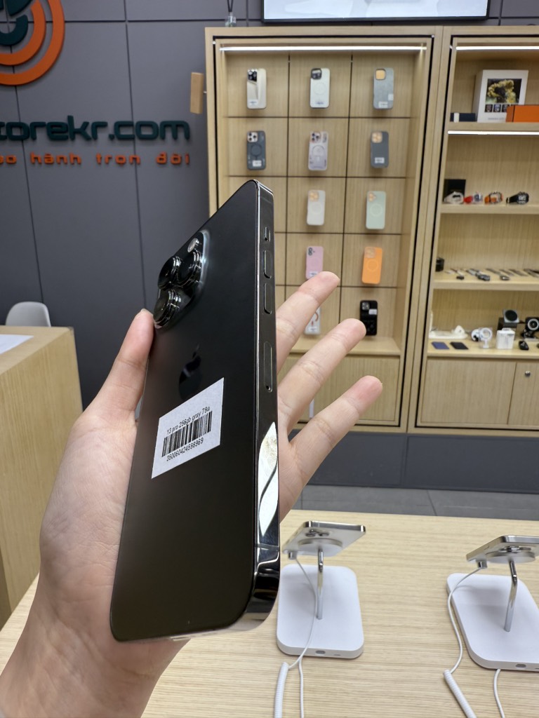 13 Pro 256gb Gray 79%