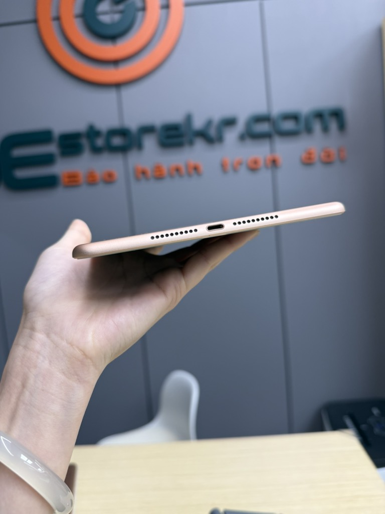 iPad mini 5th 64GB Gold 93%
