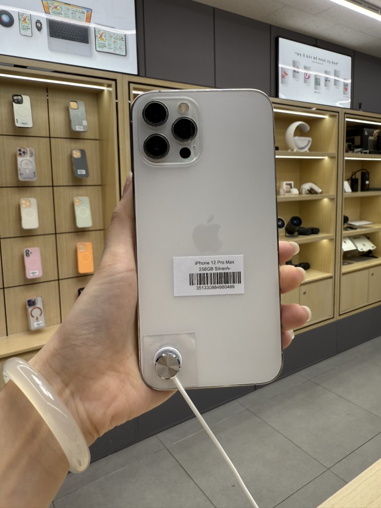 iPhone 12 Pro Max 256GB Silver LL/A