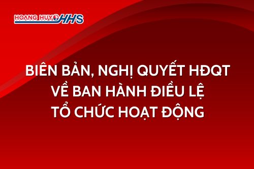 Biên bản, Nghị quyết HĐQT về ban hành điều lệ tổ chức hoạt động