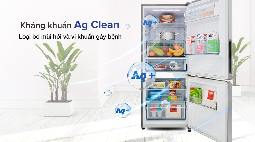 Tủ Lạnh Panasonic 2 Cánh 255 Lít NR-BV280QSVN - Công nghệ khử khuẩn