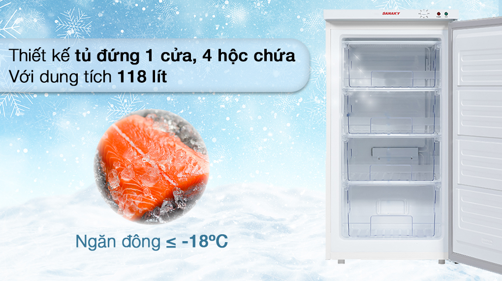 Tủ đông Sanaky VH160VD