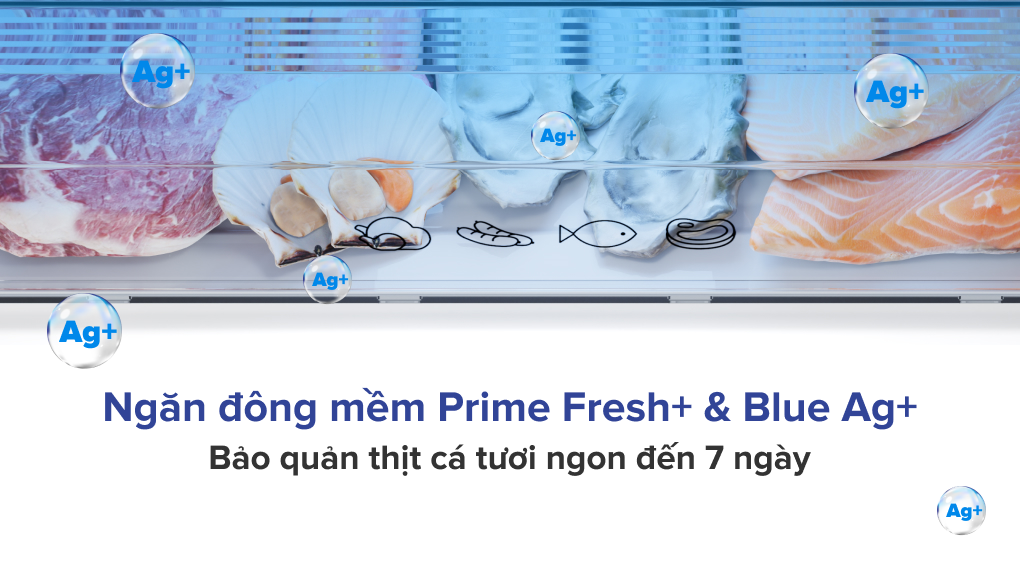 Tủ Lạnh Panasonic 2 Cánh 255 Lít NR-BV281BGMV (Model 2023) - Công nghệ bảo quản