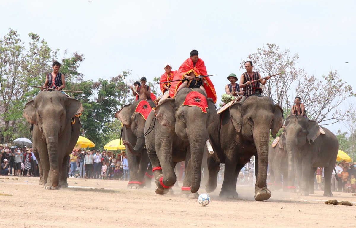 Hà Nội - Buôn Mê Thuột - Pleiku - Hà Nội