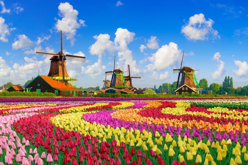 HÀ NỘI - ĐỨC - HÀ LAN - BỈ - LUXENBOURG - PHÁP - HÀ NỘI (5 NƯỚC CHÂU ÂU)