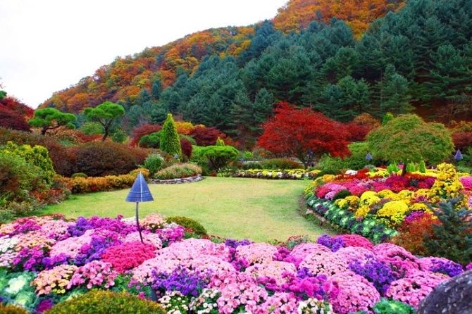 Hà Nội - Seoul - Morning Calm - Nami - Công Viên Yeouido - Lotte Word - Hà Nội