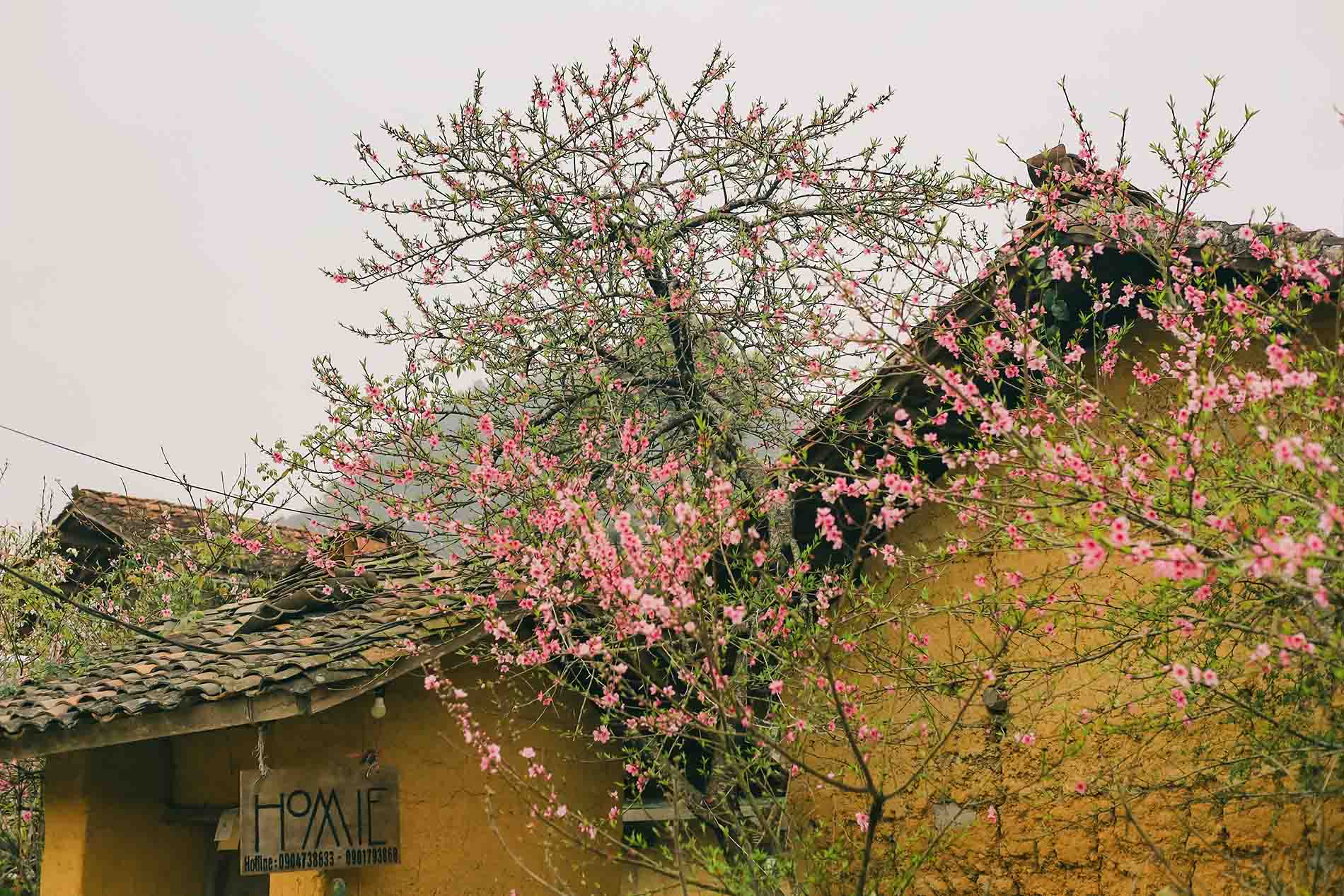 HÀ NỘI - HÀ GIANG - HÀ NỘI 