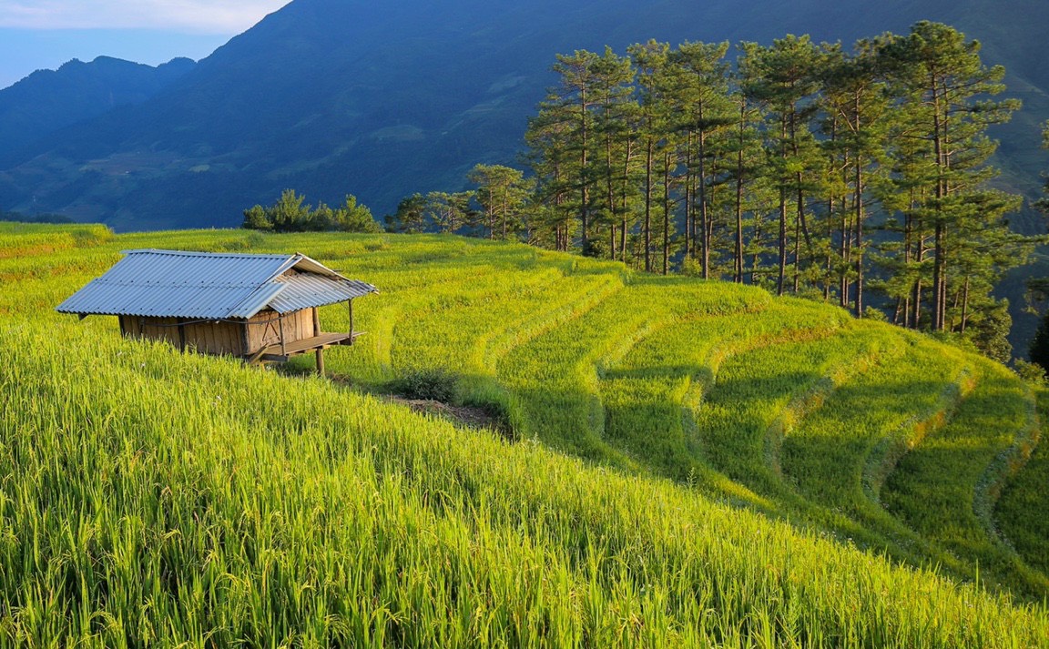 Hà Nội - Hồ Thác Bà - Mù Cang Chải - Yên Bái - Hà Nội