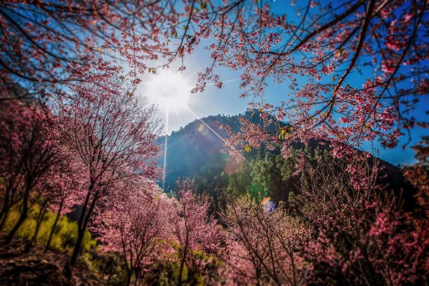 HÀ NỘI - LÀO CAI - HÀ KHẨU - THẠCH LÂM - CÔN MINH - NGHI LƯƠNG - KIẾN THỦY - HÀ KHẨU - LÀO CAI - HÀ NỘI