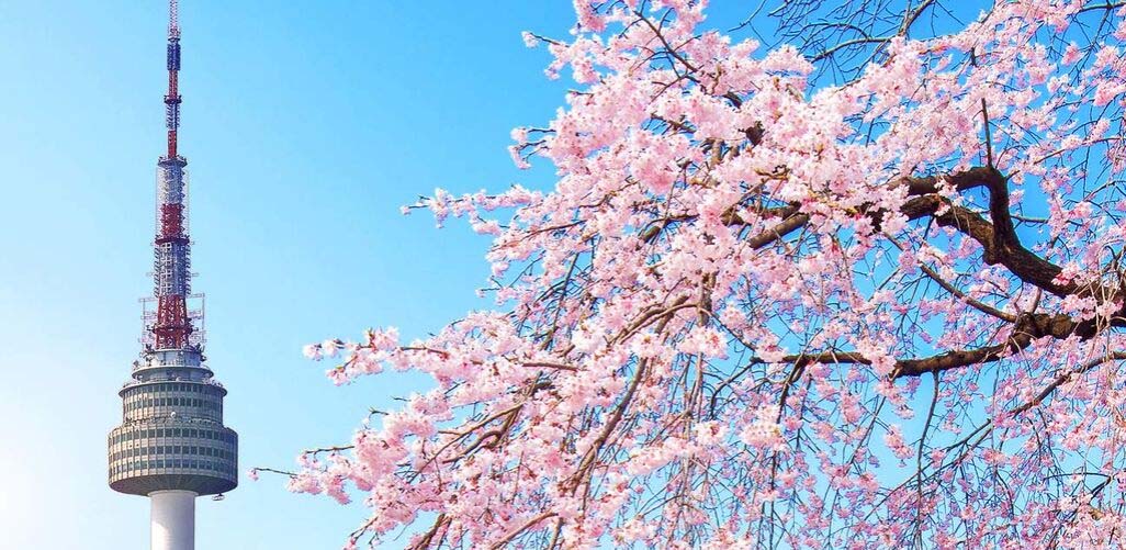 Hà Nội - Seoul - Đảo Nami - Everland - Hà Nội