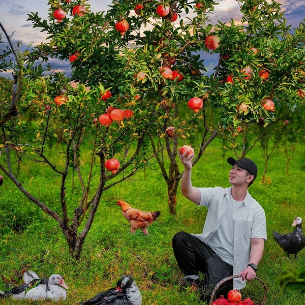 Hà Nội - Hà Khẩu - Bình Biên - Di Lặc - Kiến Thuỷ - Mông Tự - Hà Nội