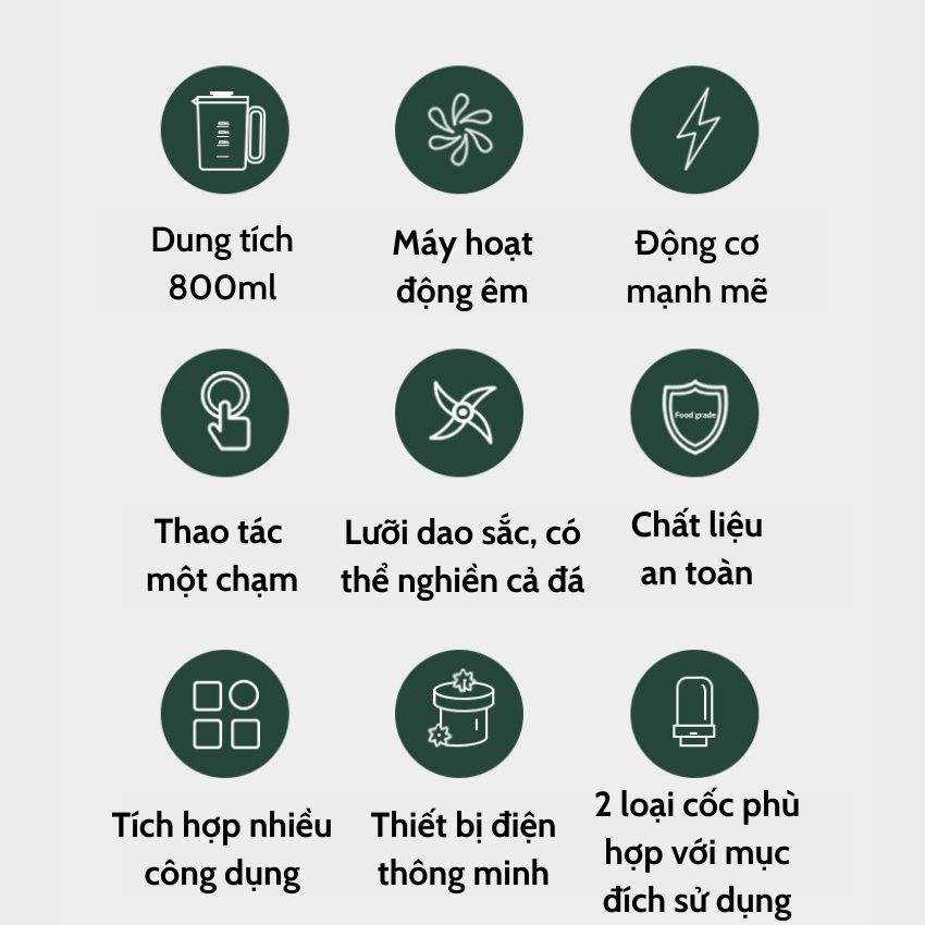 Máy xay sinh tố đa năng, dung tích 800ml YD-Z01