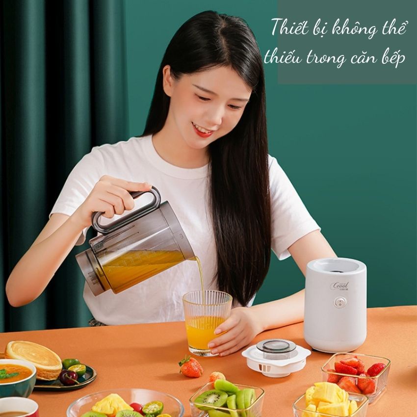 Máy xay sinh tố đa năng, dung tích 800ml YD-Z01