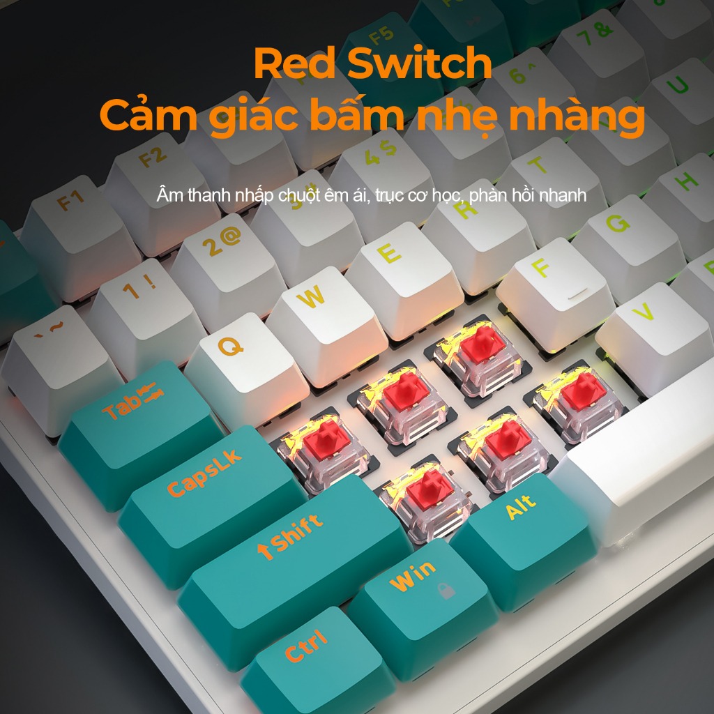 Bàn phím cơ gaming không dây có led RGB hotswap redswitch 100 phím K6 LUNETA KB15