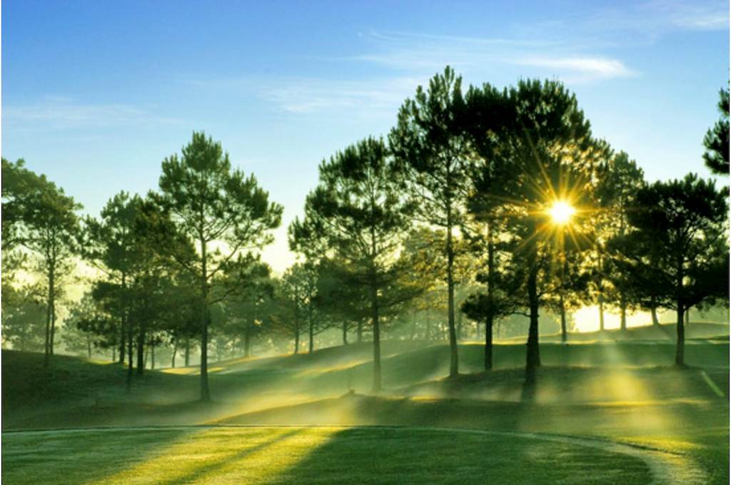 CÁC TOUR ĐÀ LẠT TRONG NGÀY