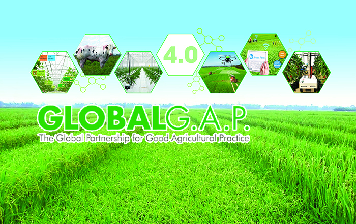 Tiêu chuẩn GlobalGAP - Nông nghiệp bền vững và an toàn thực phẩm