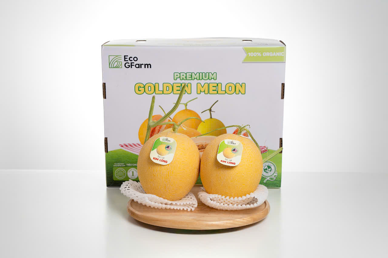 Dưa Lưới Premium Golden Melons - Hữu cơ giống loại 1