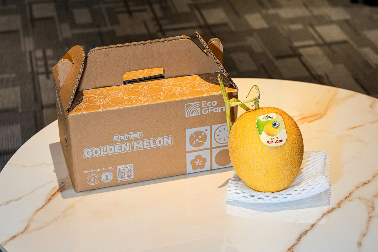 Dưa Lưới Premium Golden Melons - Hữu cơ giống loại 1