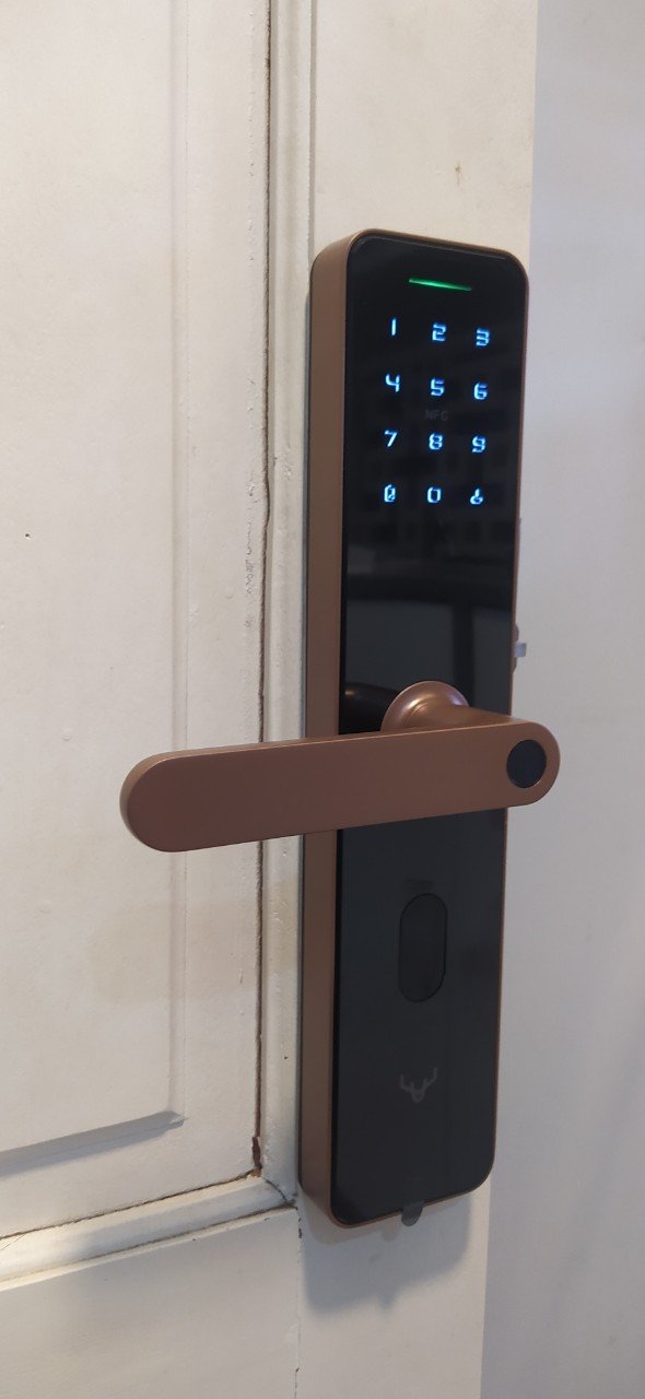 Khoá Cửa Thông Minh Xiaomi Lockin X1 - Bản Quốc Tế