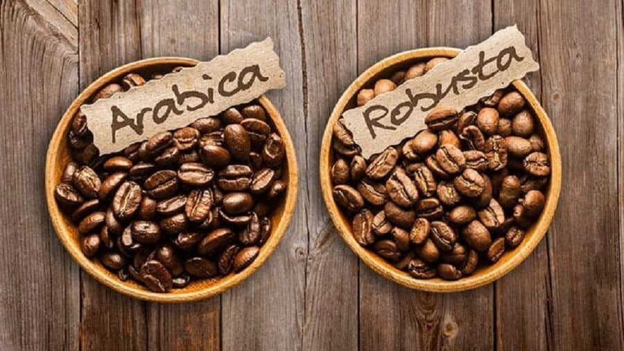instructions-on-how-to-distinguish-robusta-and-arabica-coffee