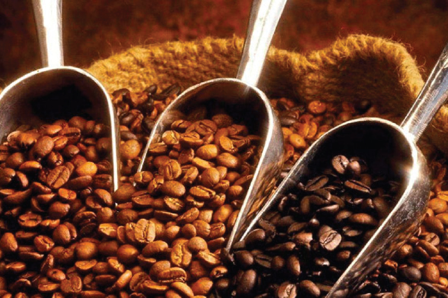 instructions-on-how-to-choose-delicious-and-standard-whole-bean-coffee