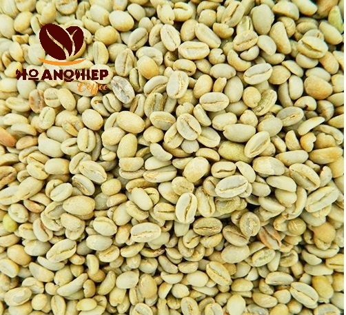 cau-dat-arabica-green-coffee-green-beans-moka