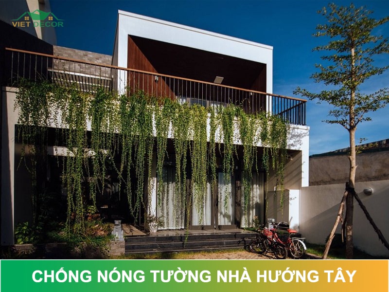 10 Cách chống nóng tường hướng tây HIỆU QUẢ 2025