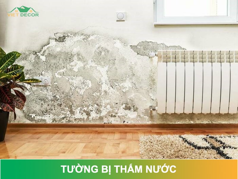 Nguyên nhân tường nhà bị thấm nước và cách khắc phục