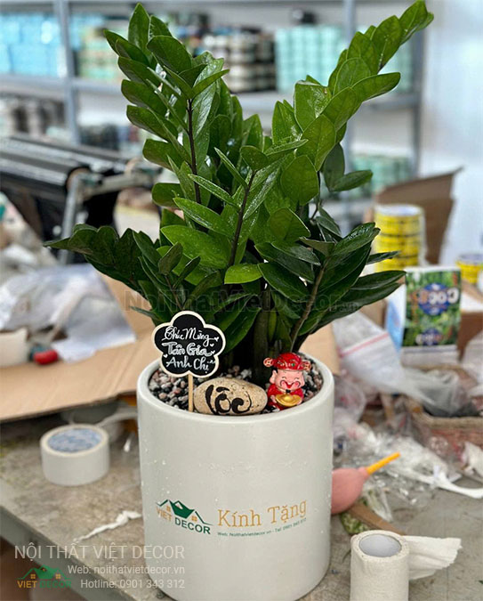Nội Thất Việt Decor thiết kế thi công cải tạo nội thất, hoàn thiện căn hộ 3 phòng ngủ chung cư Tecco phường Linh Đồng thành phố Thủ Đức quà tặng tân gia
