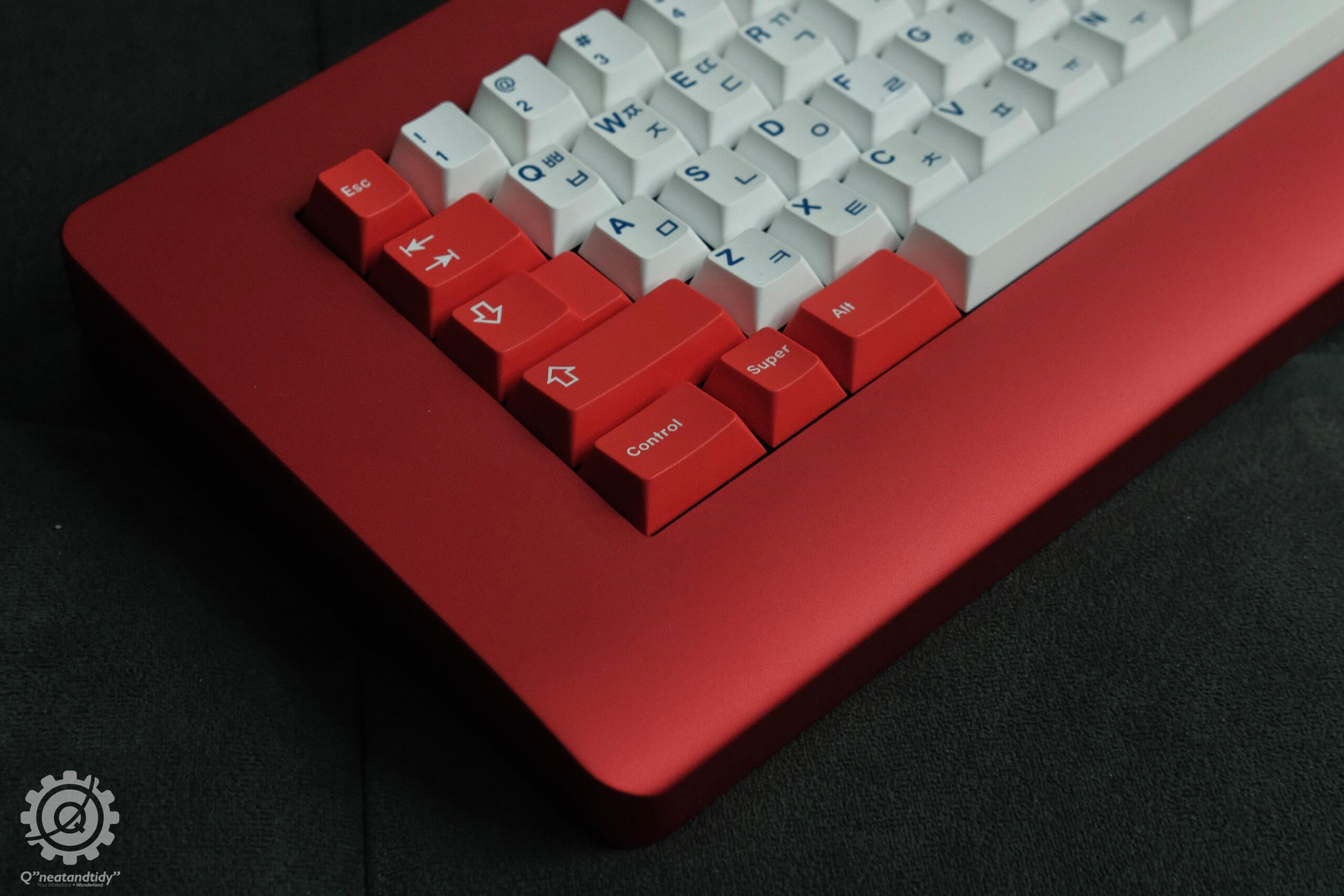 Piggy 60