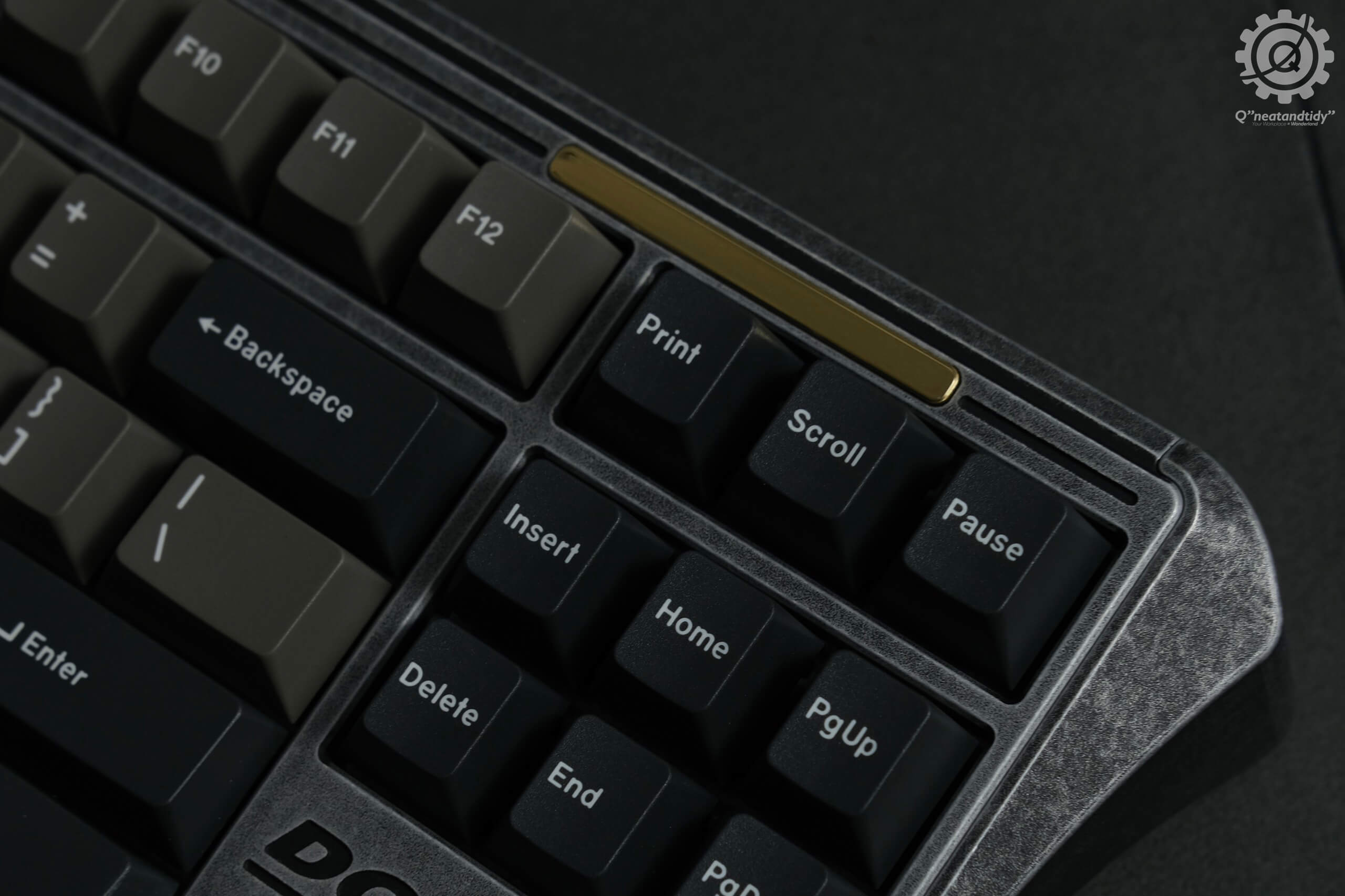 Dolphin TKL