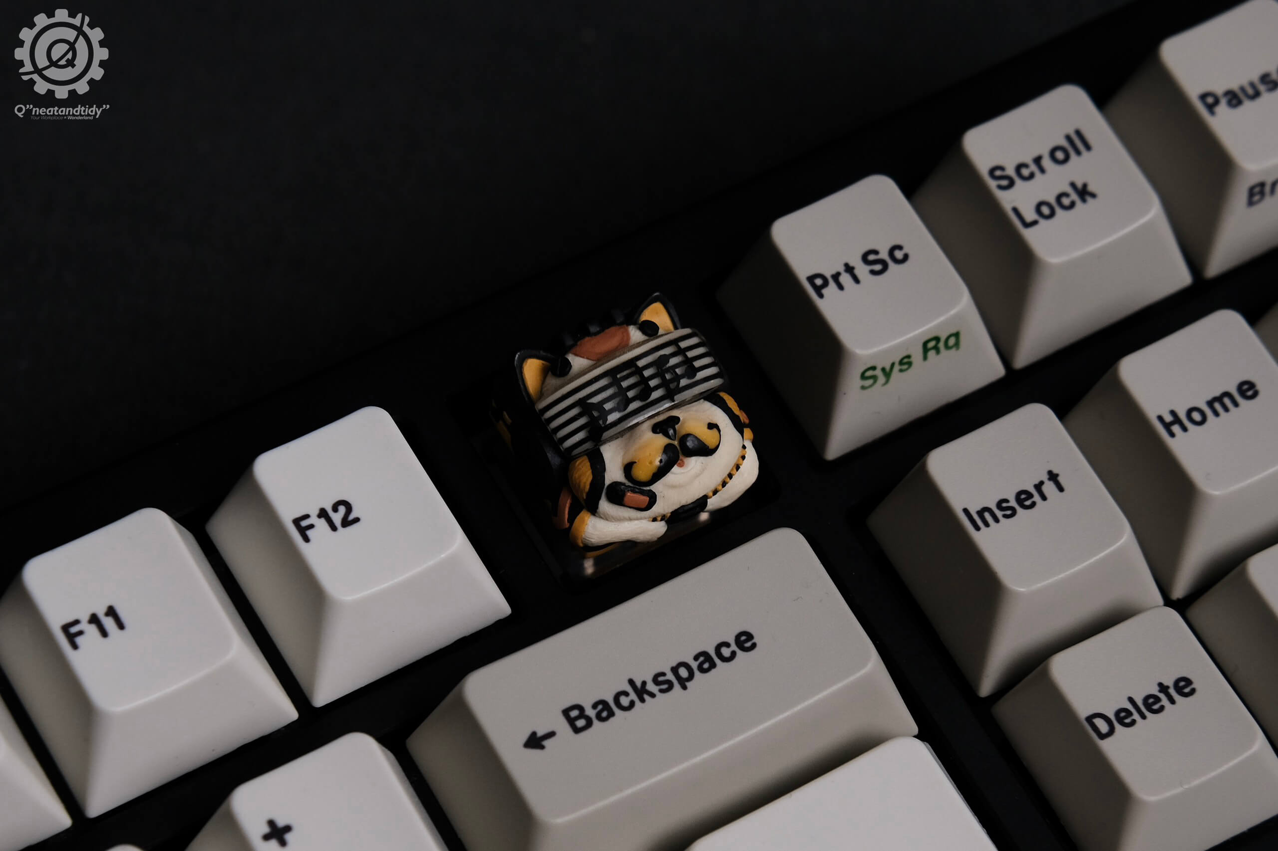 TGR Jane CE