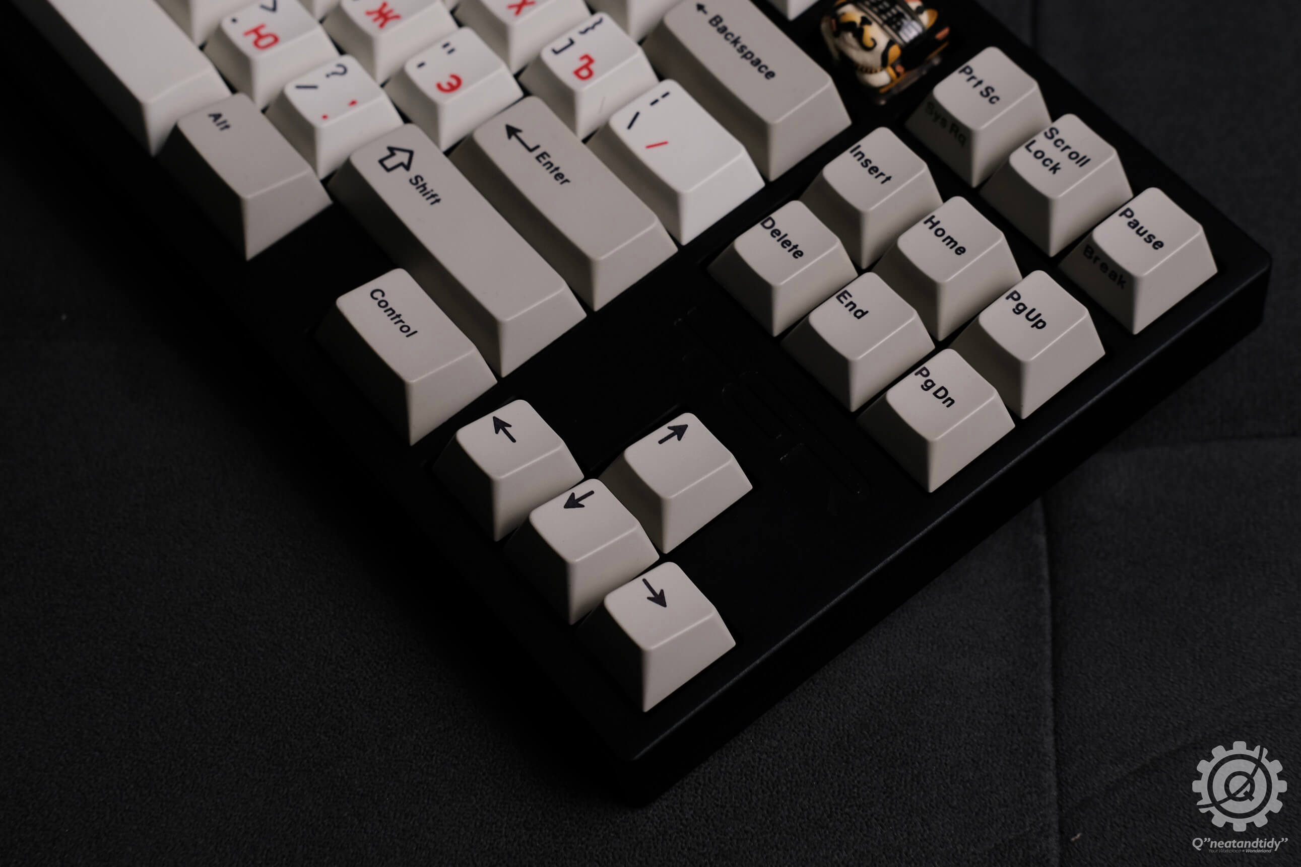 TGR Jane CE