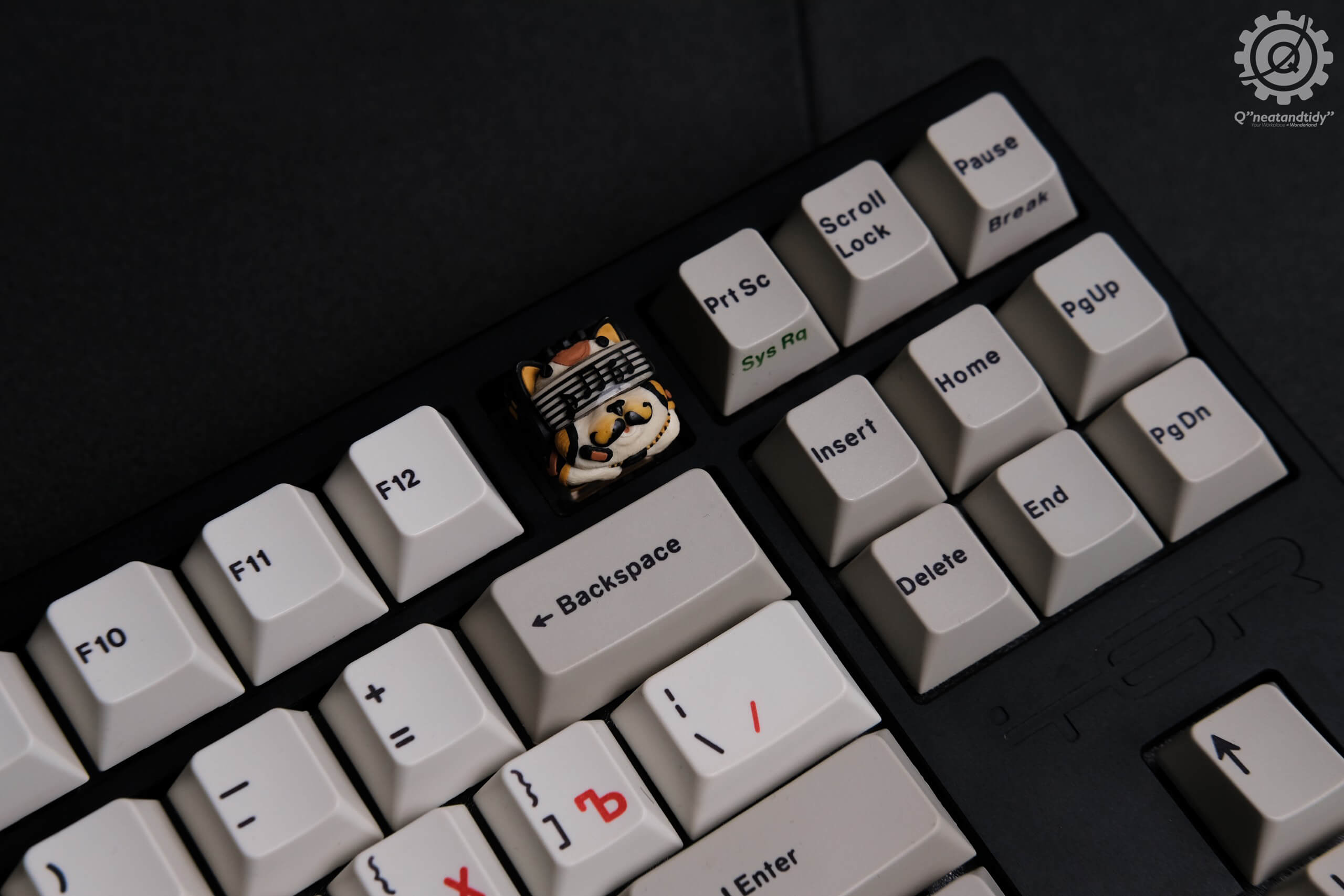 TGR Jane CE